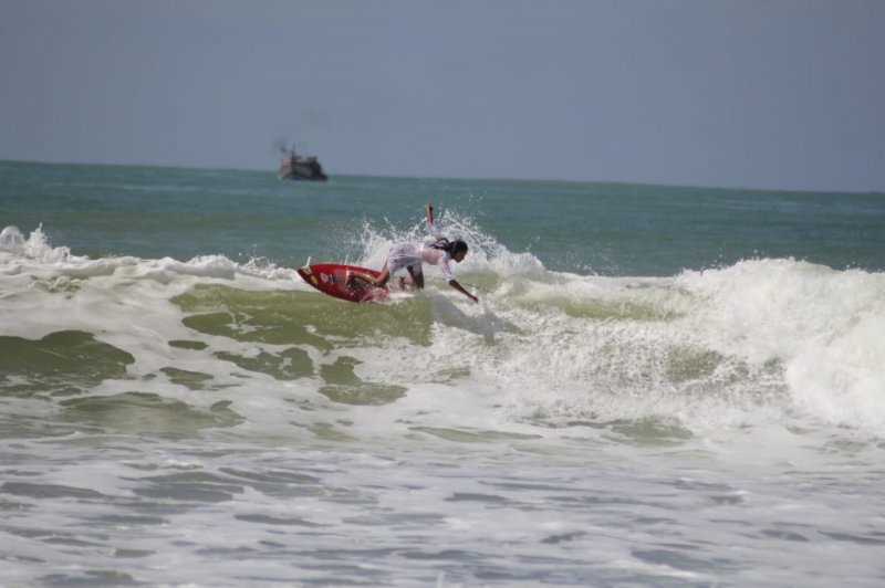 Blog Elevation Surf Board